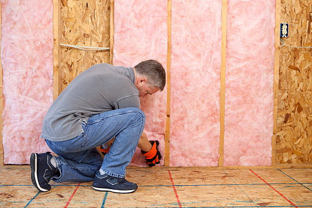 Best Insulation Installation Services in Malibu, CA